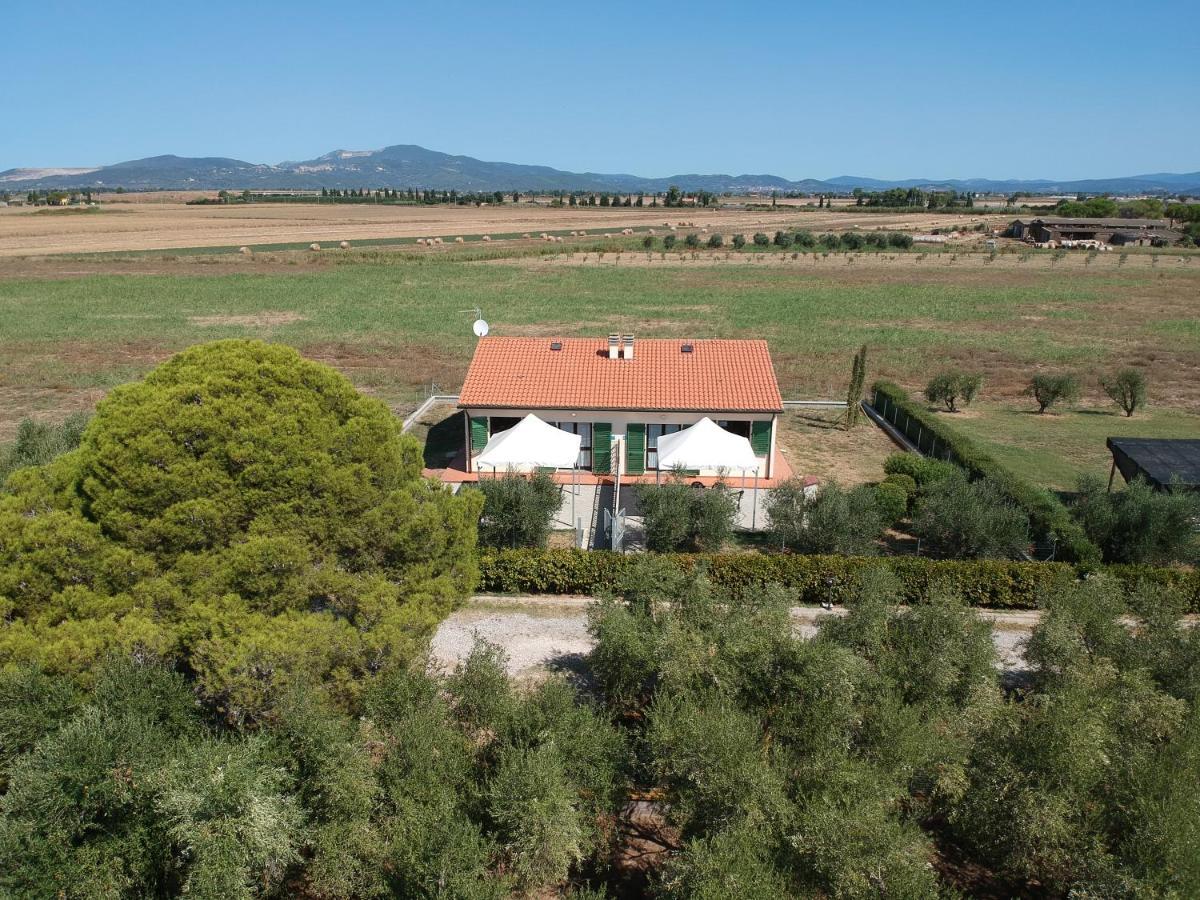 Agriturismo Olivomare Piombino Exterior photo