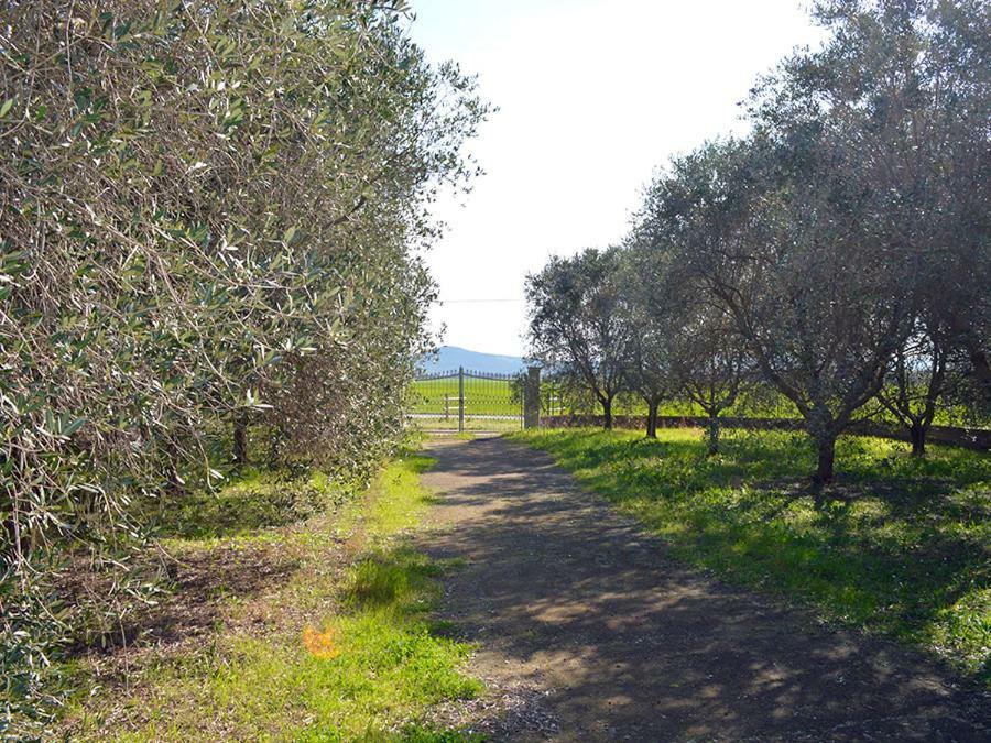 Agriturismo Olivomare Piombino Exterior photo